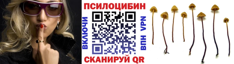 Галлюциногенные грибы Cubensis  наркошоп  Дно 